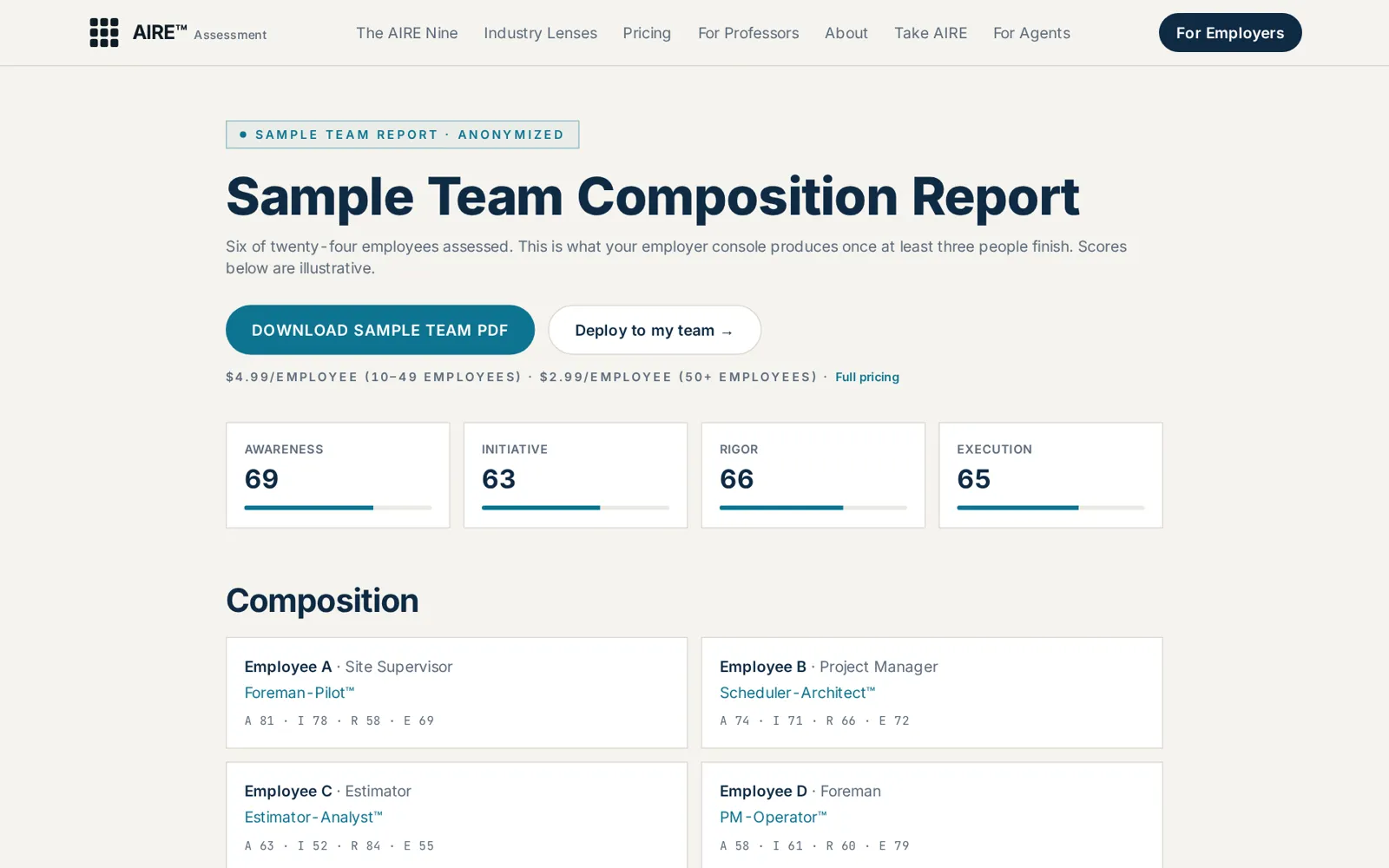 AIRE Assessment™: The team composition report